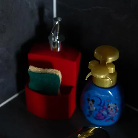 Cosy / / Val D'europe / Paris סאריס